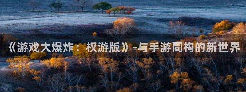 28大神怎么用不了