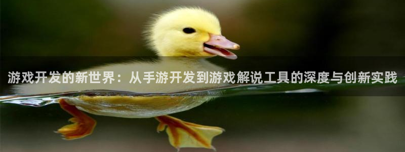 28大神怎么不能用了