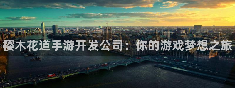 28大神官网预测