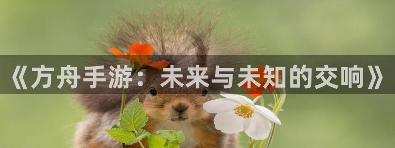 28大神开奖软件