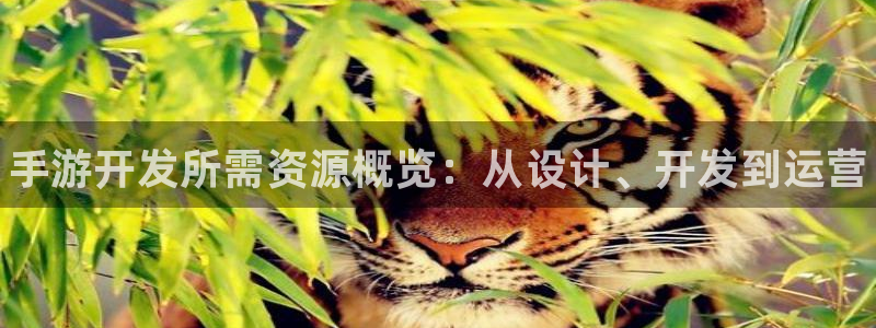 大神pc28官网开奖