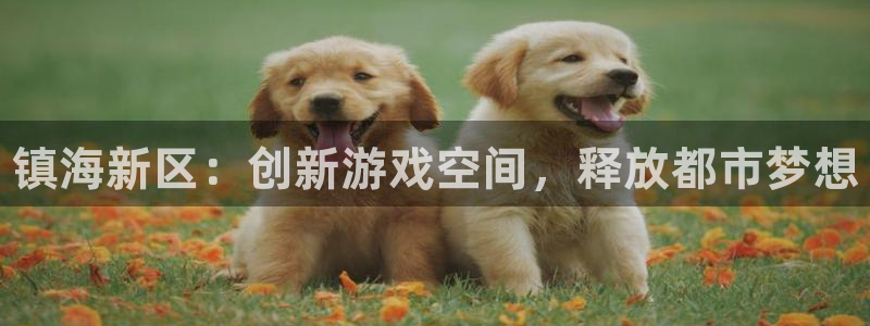 28大神用不了了：镇海新区：创新游戏空间，释放都市梦想