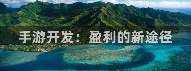 大神pc28官网开奖：手游开发：盈利的新途径