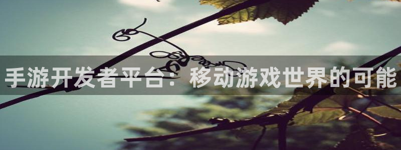 28大神预测破解版：手游开发者平台：移动游戏世界的可能