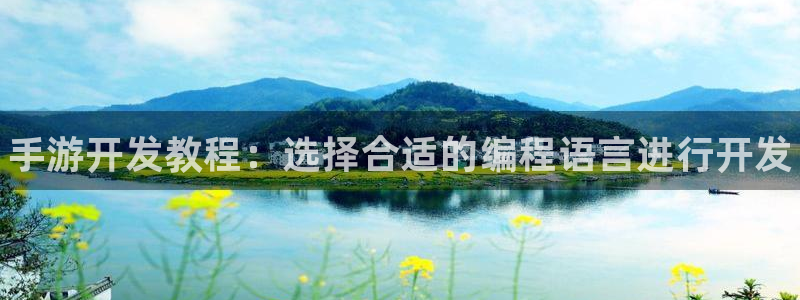 28大神专业版官网：手游开发教程：选择合适的编程语言进行开发
